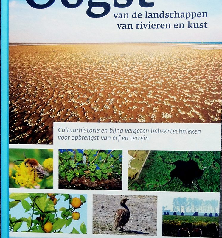Oogst van de landschappen van Rivieren en Kust